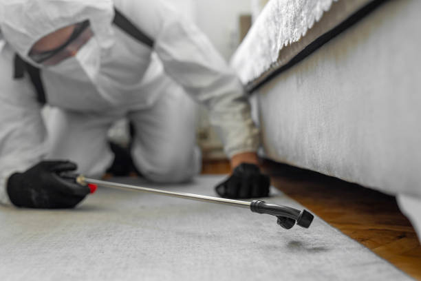 Professional Termite Control technician working in Tekamah, NE