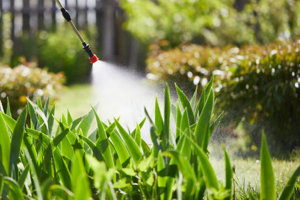 24/7 Emergency Termite Control experts in Tekamah, NE