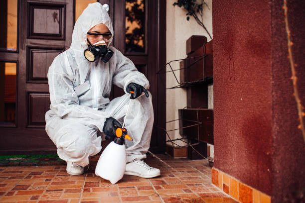 Reliable Termite Control contractor in Tekamah, NE by Nex Pest Control