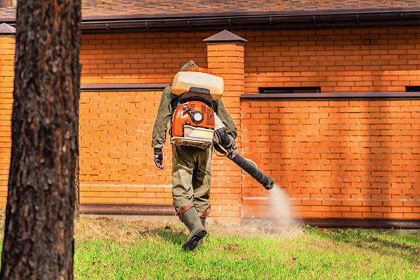 Trusted Ant Control service in Tekamah, NE - Nex Pest Control